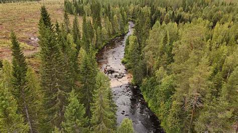 afterpack|Finland's Stora Enso suspends logging after damage to river pearl .